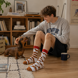 Sausage Dog Socks - Odd Pairs