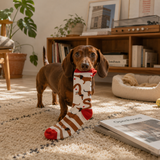 Dog playing with a sock toy on a carpeted floor in a living room.