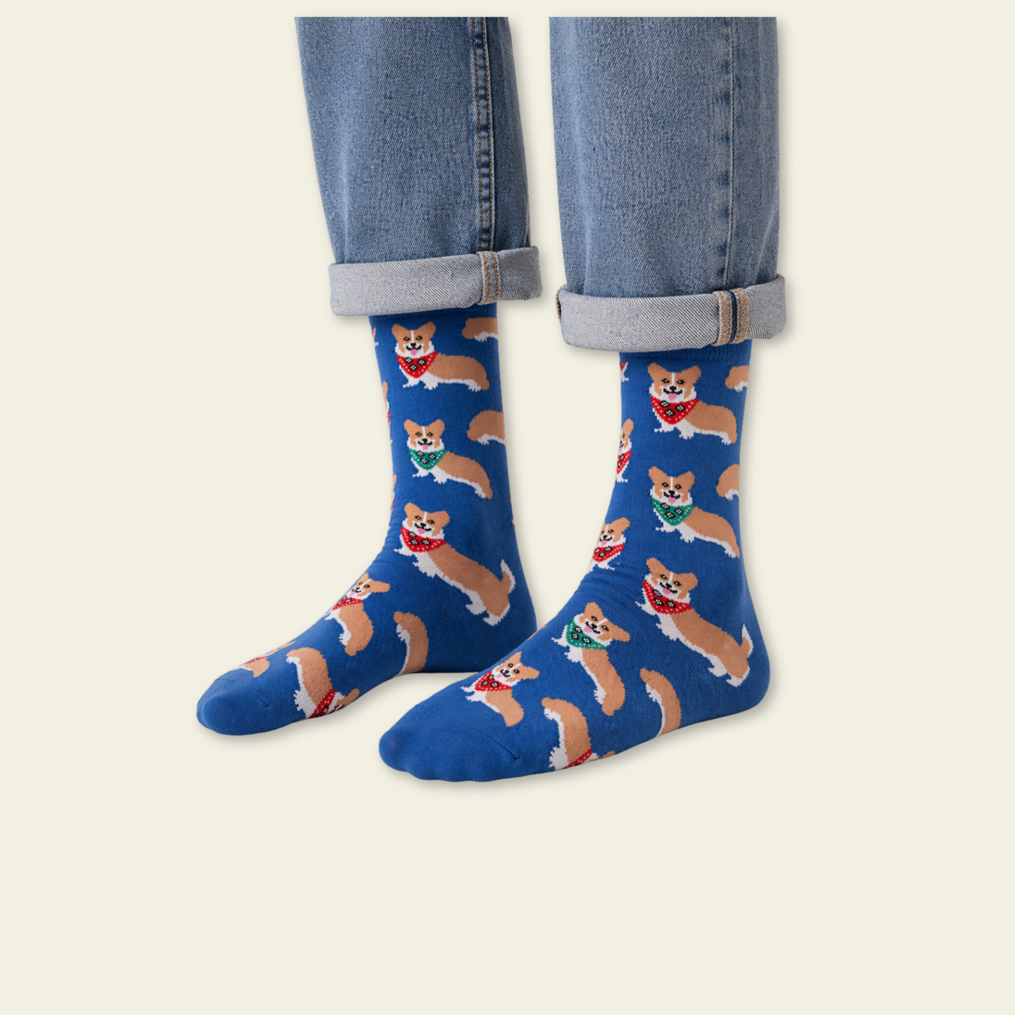 Corgi Socks