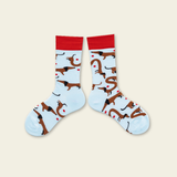 Pair of socks with dachshund pattern and red cuffs on a beige background